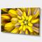 Designart - Massive Yellow Fractal Flower - Floral Canvas Art Print